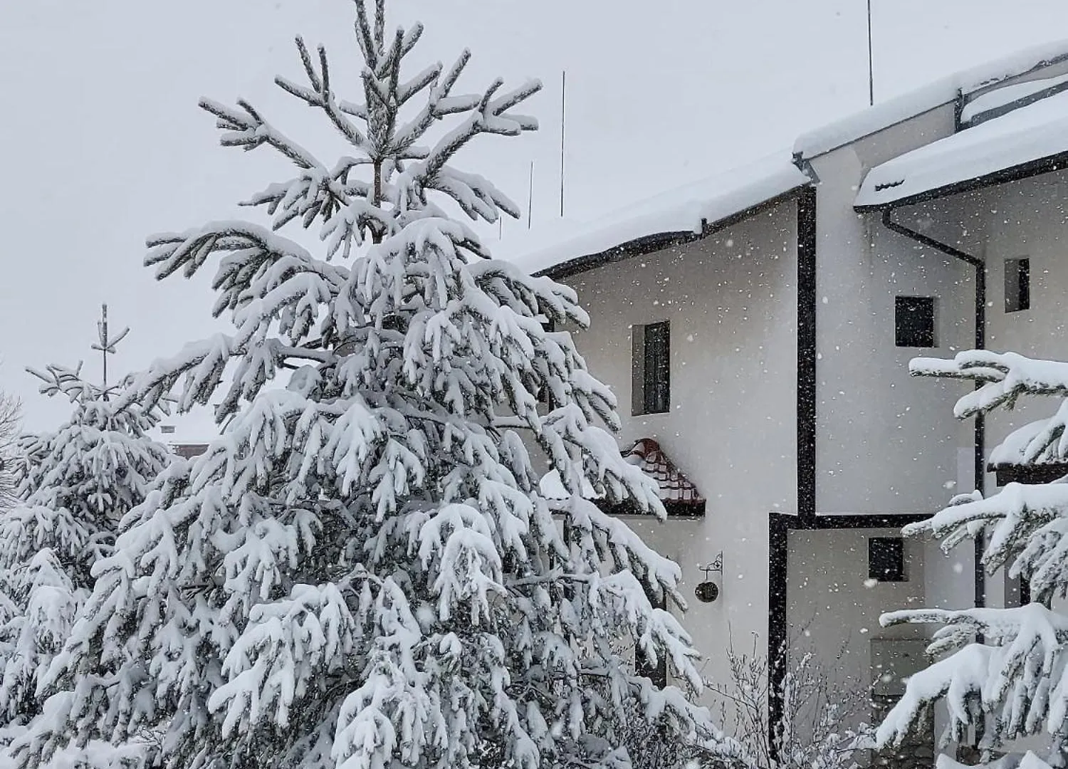 Pinerose Resort Bansko 4*,